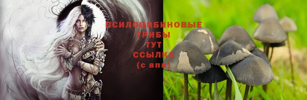 мдпв Михайловка