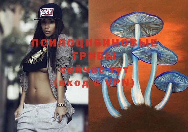 гашиш Михайлов