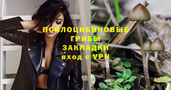 мдпв Михайловка
