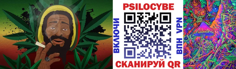 где найти наркотики  Сердобск  OMG как зайти  Псилоцибиновые грибы Psilocybine cubensis 