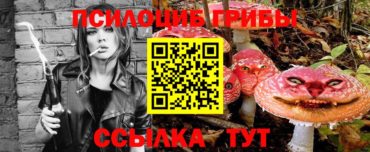 Галлюциногенные грибы Psilocybe Сердобск